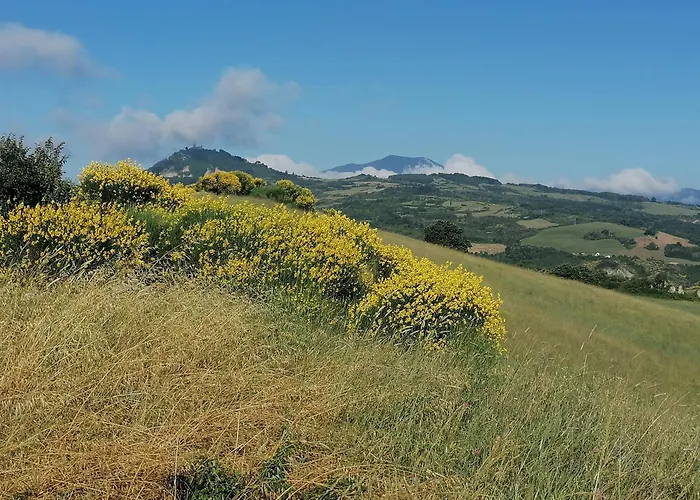 La Fortezza راديكوفاني